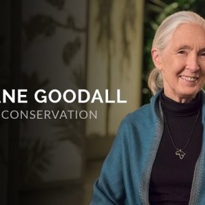 Dr. Jane Goodall Teaches Conservation