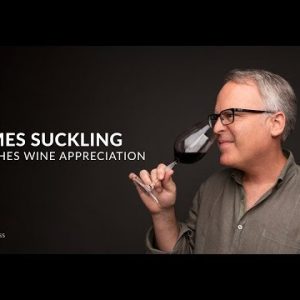 James Suckling Teaches Wine Appreciation