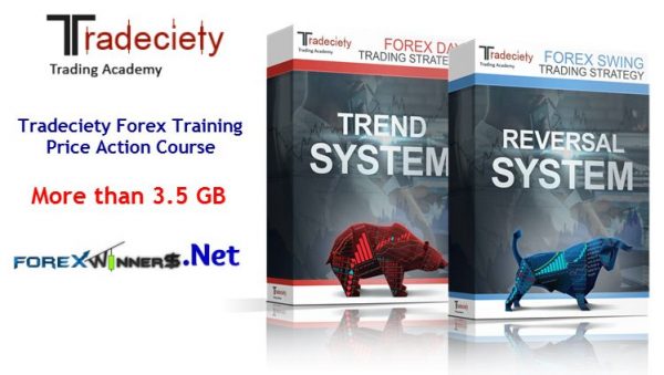 [Mega Link] Pro Tradeciety – Forex Trading Academy Price Action Course ...