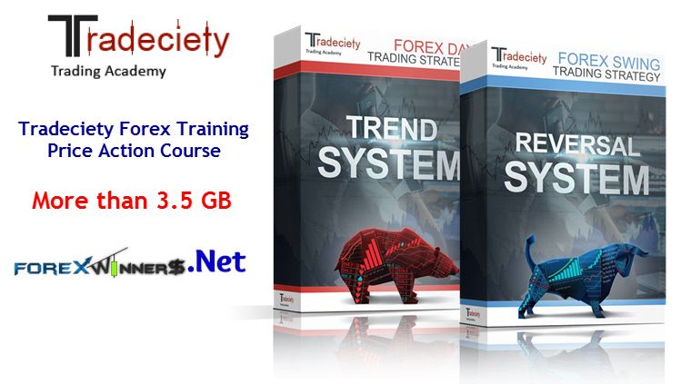 Pro Tradeciety – Forex Trading Academy Price Action Course Pro Tradeciety – Forex Trading Academy Price Action Course