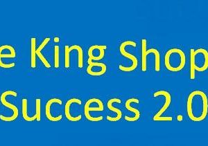 Brice King - Shopify Success 2.0