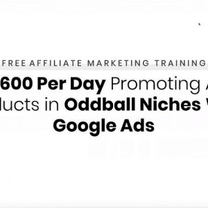 How to Make $600/Day as an Affiliate With Google Ads by Duston McGoarty