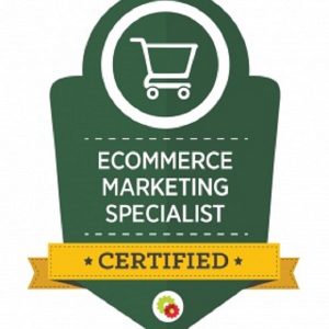 Digital Marketer - E-Commerce Marketing Mastery