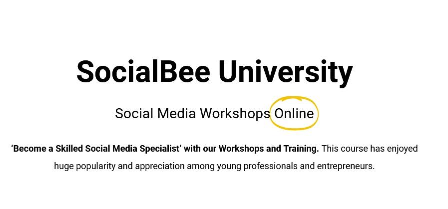 SocialBee – SocialBee University SocialBee – SocialBee University