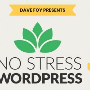 Dave Foy – No Stress WordPress 2.0