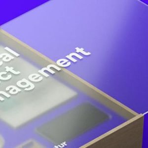 Matthew Encina – Practical Project Management