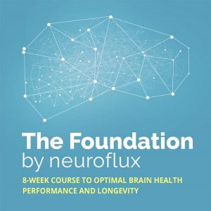The Foundation by Neuroflux