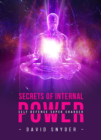 david-snyder-secrets-of-internal-power david-snyder-secrets-of-internal-power