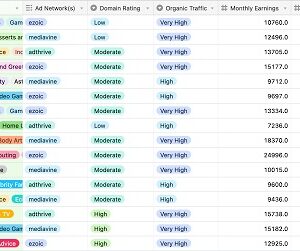 Ian Nuttall - Niche Site Metrics