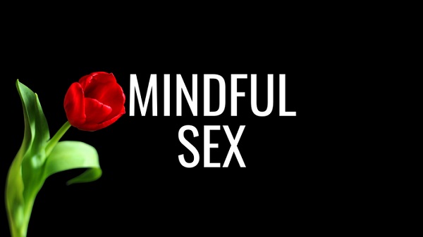 plesure-mechanics-mindful-sex plesure-mechanics-mindful-sex