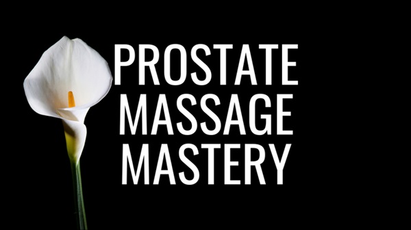 pleasure-mechanics-prostate-massage-mastery pleasure-mechanics-prostate-massage-mastery