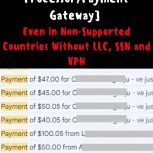 create-a-verified-payment-processor-payment-gateway-even-in-non-supported-countries-without-llc-ssn-vpn